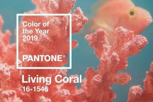 Como usar a cor do ano de 2019 no seu consultrio
