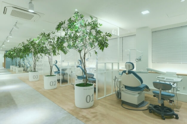 7 ideias para colocar plantas no consult�rio